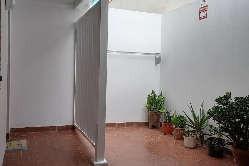Amplio Apartamento Con Vistas Privilegiadas การาชิโก ภายนอก รูปภาพ